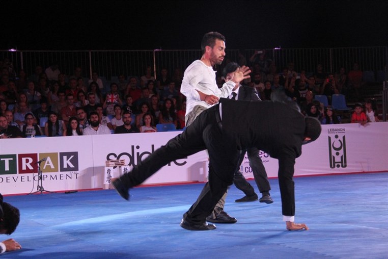 Martial Arts Festival